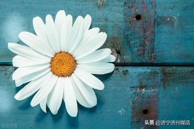 微山县留庄南羊庄村蒸鸭子，红尘之处处处可有隐士，人人可为名流