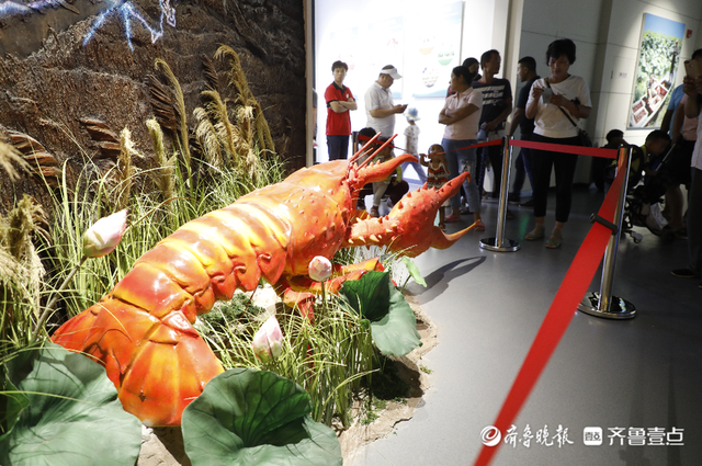 乘风破浪的小龙虾：一只鱼台龙虾的奇妙旅行