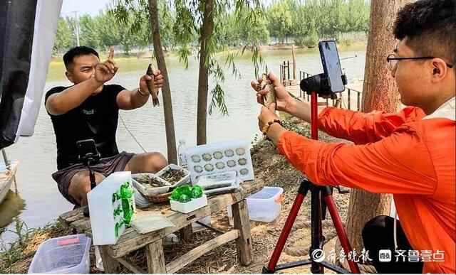 乘风破浪的小龙虾：一只鱼台龙虾的奇妙旅行