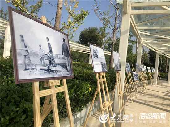 喜庆中国农民丰收节 嘉祥举行农产品博览会