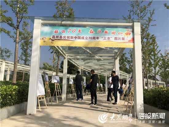 喜庆中国农民丰收节 嘉祥举行农产品博览会