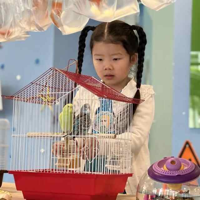 汉服体验、美食大赏、亲近野生动物……这样的春日活动真让人羡慕