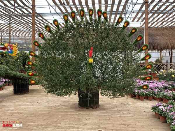 泰安晚新闻「9月28日」