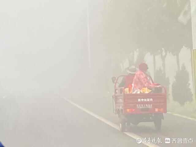 壹图集｜泰安野外大雾堵车严重，居民区附近能见度高