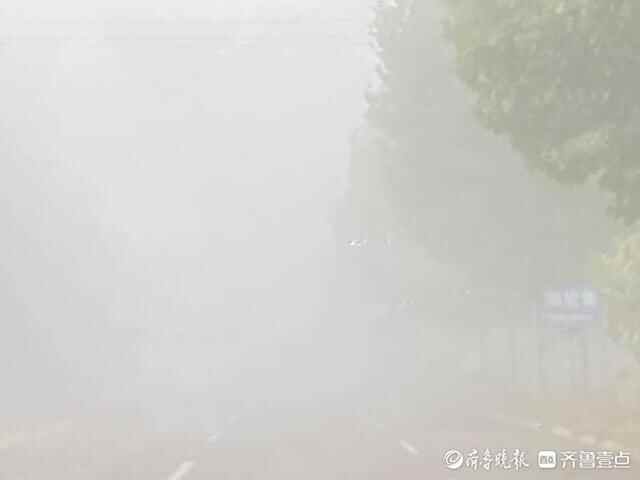 壹图集｜泰安野外大雾堵车严重，居民区附近能见度高