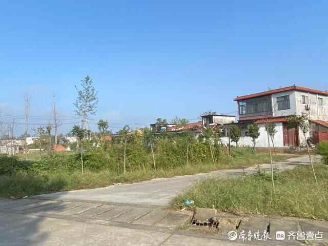 壹图集｜泰安野外大雾堵车严重，居民区附近能见度高