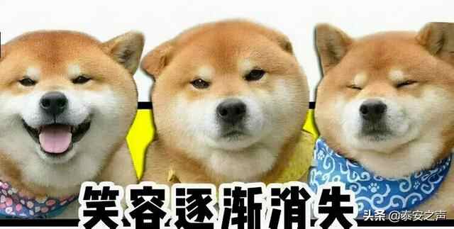 好天气不多了，且玩且珍惜！其实假期你还可以这样做！