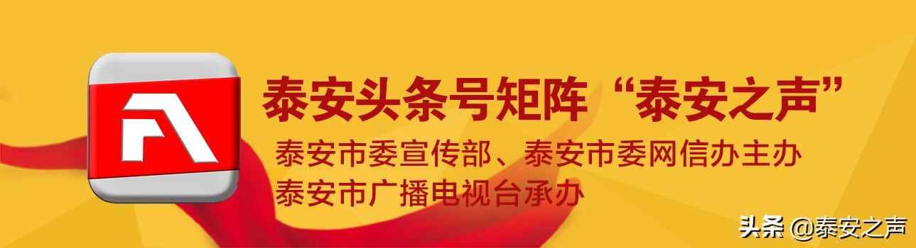 中国红·齐鲁行 | 七彩岱岳之绚丽黄——道朗镇北张村