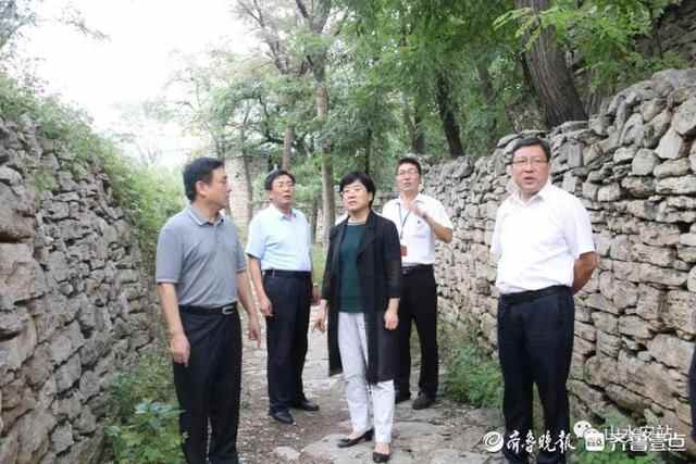 肥城市委常委、宣传部长付玲到安临站镇调研