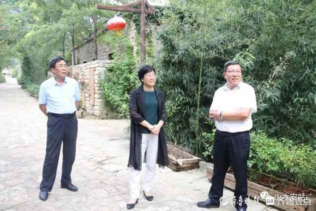 肥城市委常委、宣传部长付玲到安临站镇调研