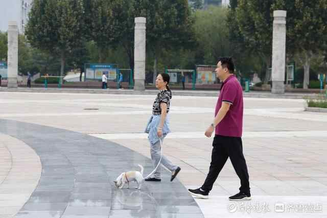 壹图集｜美好假期，泰安市民从晨练开始