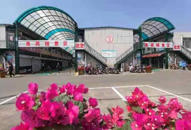 泰山区：加大老旧市场改造提升力度 老市场焕发新活力