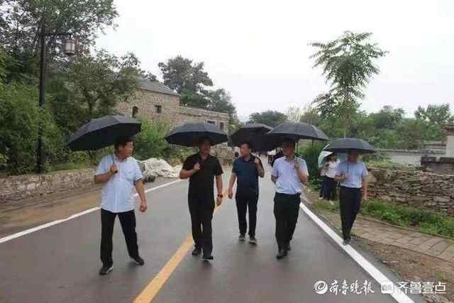 山东省督导组到肥城仪阳调研传统村落和传统民居