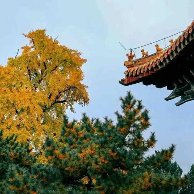 远近闻名。在泰安赏秋来这几个地方就对了