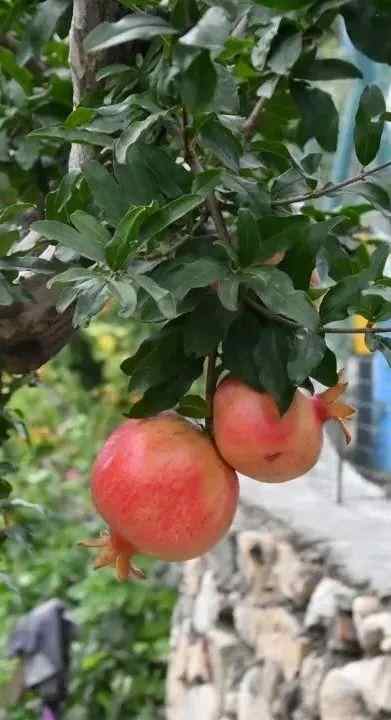 远近闻名。在泰安赏秋来这几个地方就对了