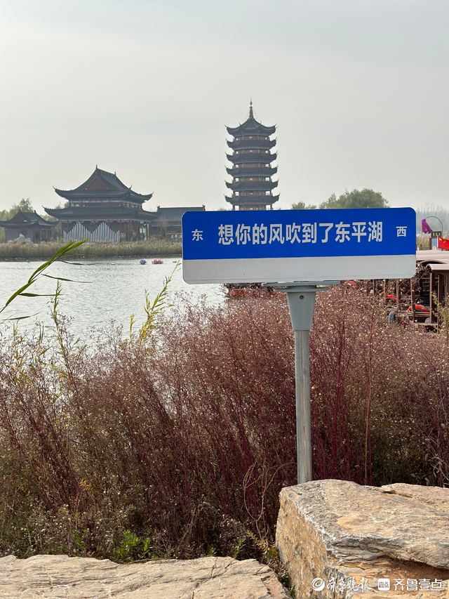 文旅融合看泰安丨以东平湖为核心打造精品项目，东平文旅热度不断