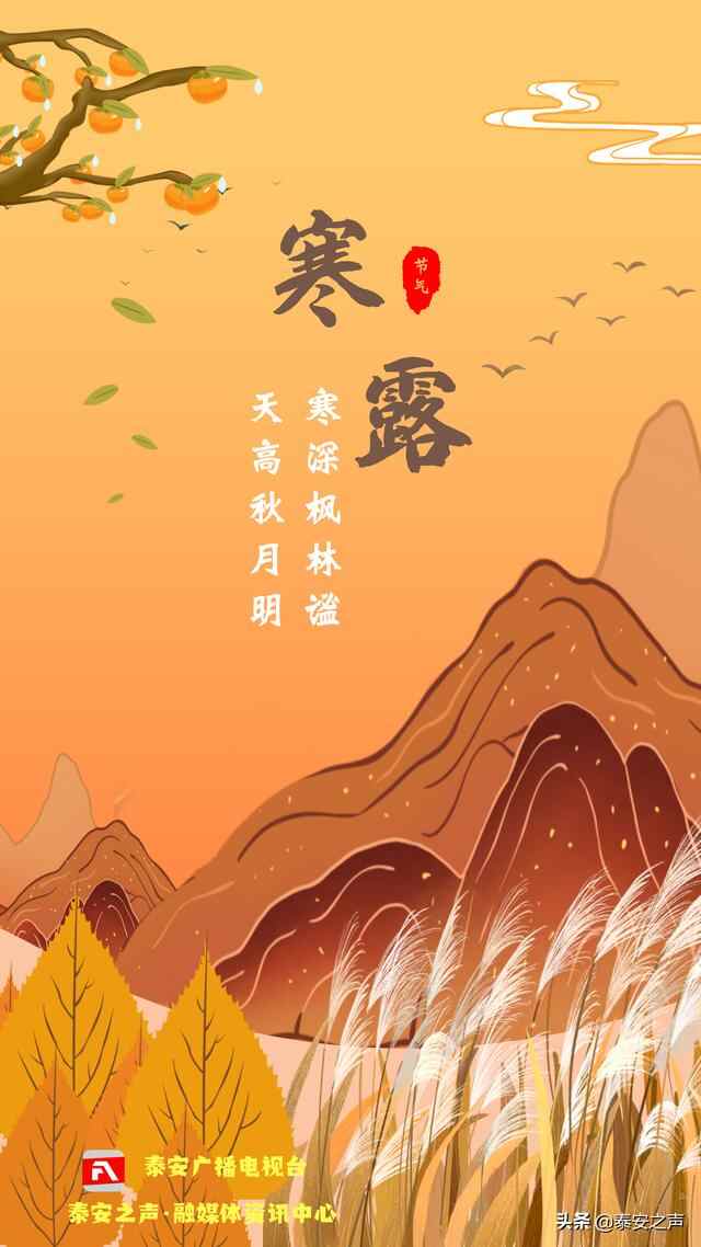 泰安人注意！上班第一天，寒露来了！