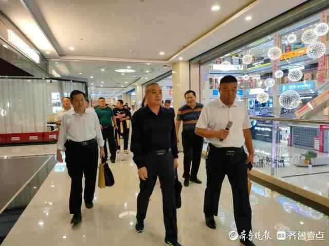 泰山区政协委员视察上高街道村（社区）经济社会发展活动