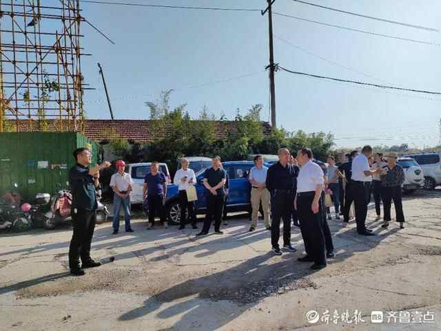 泰山区政协委员视察上高街道村（社区）经济社会发展活动