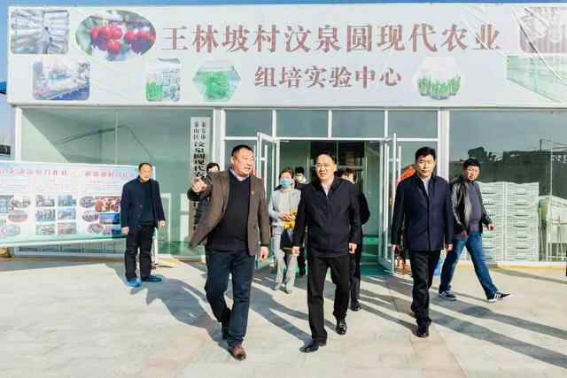 从“一产为主”到“三产融合”泰安市邱家店镇王林坡村争当乡村振兴排头兵