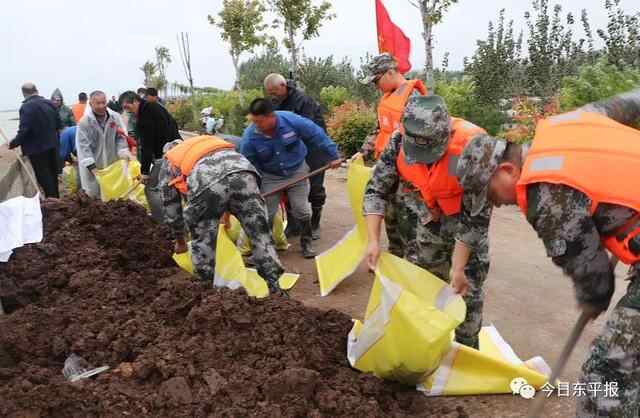 直击东平防汛：“我是民兵我先上！”筑牢东平湖畔“钢铁堤坝”