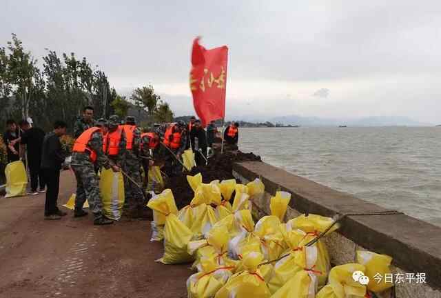 直击东平防汛：“我是民兵我先上！”筑牢东平湖畔“钢铁堤坝”