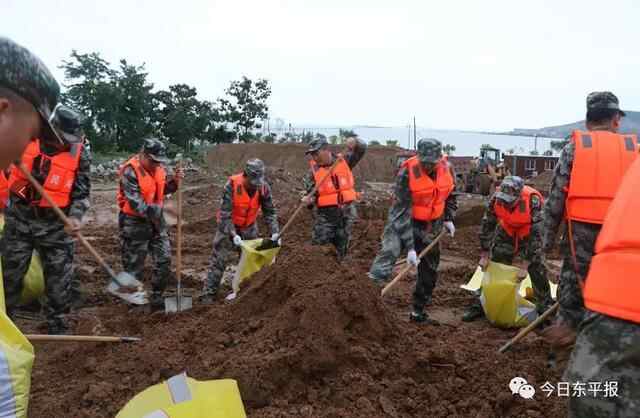直击东平防汛：“我是民兵我先上！”筑牢东平湖畔“钢铁堤坝”