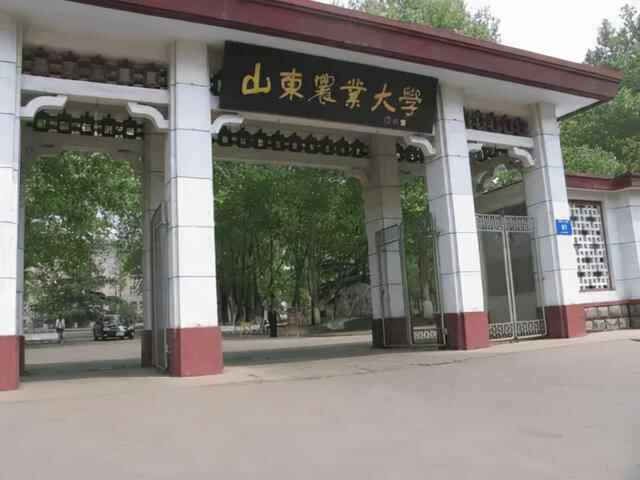 山东农业大学，“牵手”新泰市，建立新泰分院