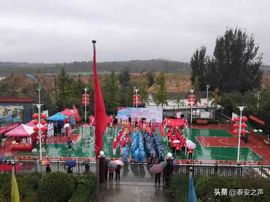 健步行走美丽乡村丨泰山区“体彩杯”健步走大会成功举办！