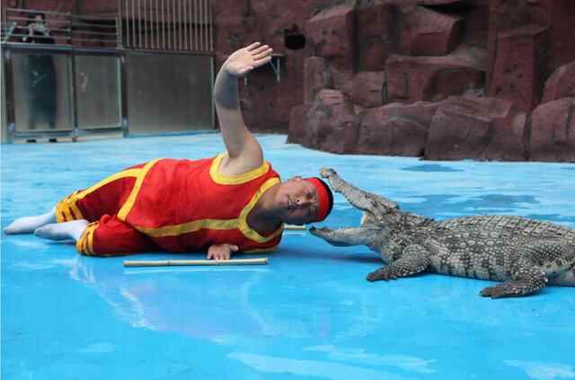 29.9元畅游太阳部落+动物欢乐王国两大主题公园！超值优惠，就在10月16日至11月28日！