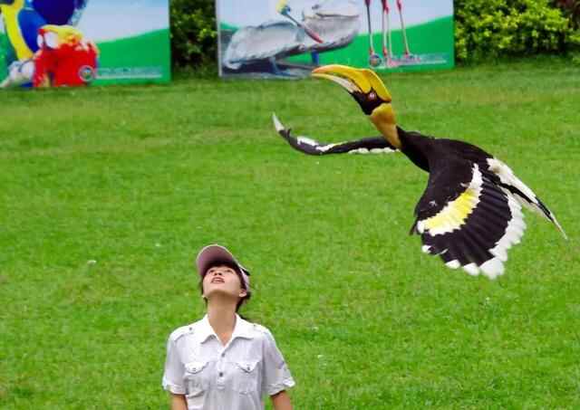 29.9元畅游太阳部落+动物欢乐王国两大主题公园！超值优惠，就在10月16日至11月28日！