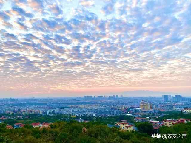 彩霞漫天 灿若锦绣！泰安今晨的绝美景色，请查收→