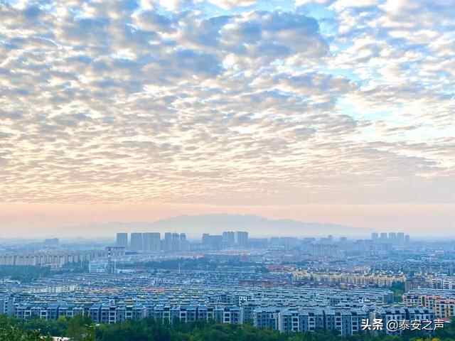 彩霞漫天 灿若锦绣！泰安今晨的绝美景色，请查收→