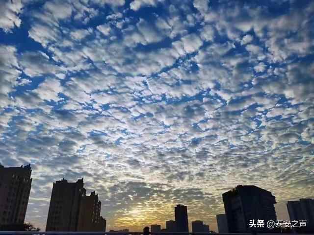 彩霞漫天 灿若锦绣！泰安今晨的绝美景色，请查收→