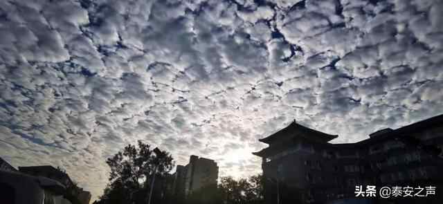 彩霞漫天 灿若锦绣！泰安今晨的绝美景色，请查收→