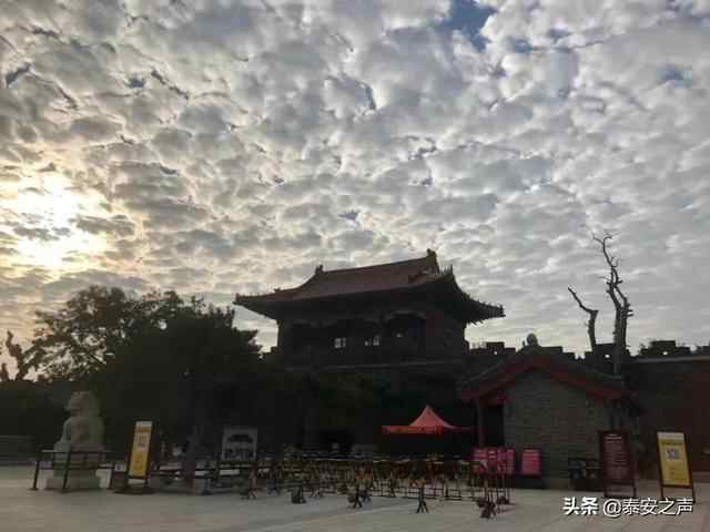 彩霞漫天 灿若锦绣！泰安今晨的绝美景色，请查收→