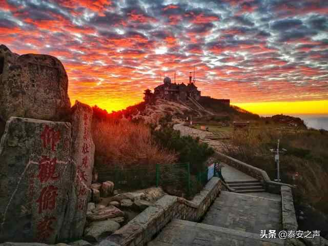 彩霞漫天 灿若锦绣！泰安今晨的绝美景色，请查收→