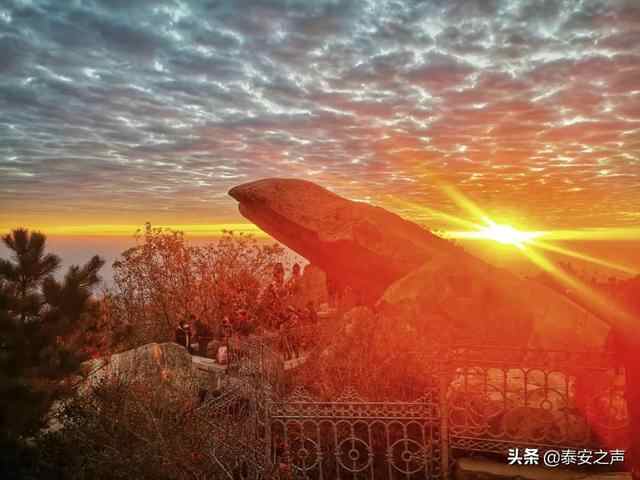 彩霞漫天 灿若锦绣！泰安今晨的绝美景色，请查收→