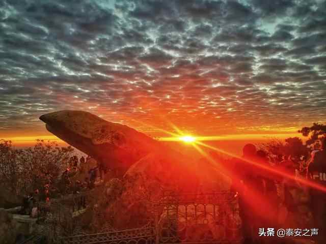 彩霞漫天 灿若锦绣！泰安今晨的绝美景色，请查收→