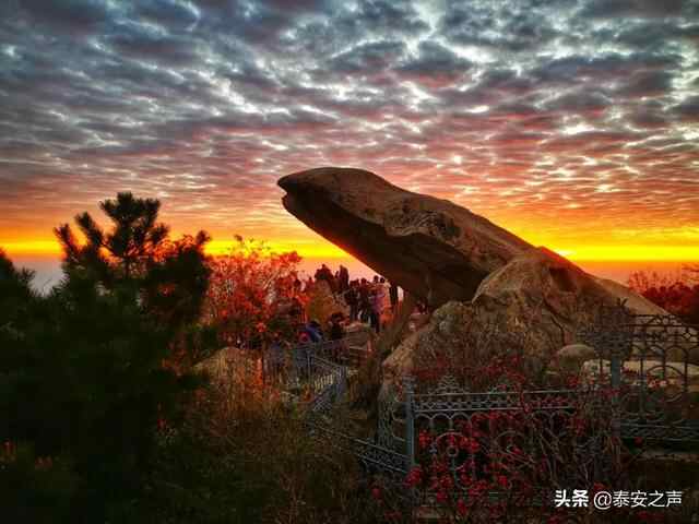 彩霞漫天 灿若锦绣！泰安今晨的绝美景色，请查收→
