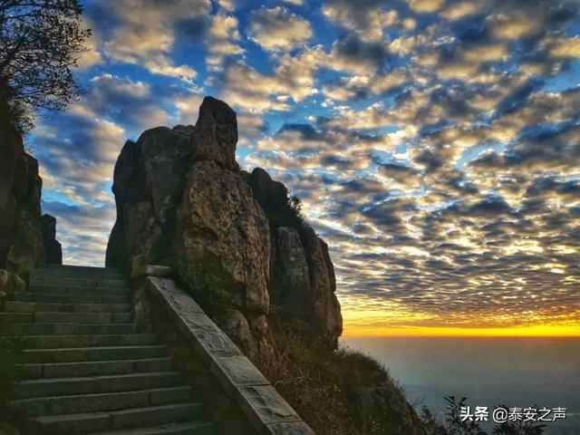 彩霞漫天 灿若锦绣！泰安今晨的绝美景色，请查收→