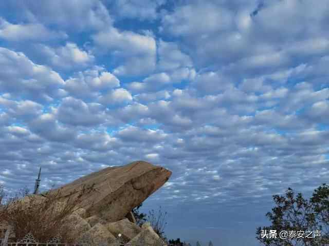 彩霞漫天 灿若锦绣！泰安今晨的绝美景色，请查收→