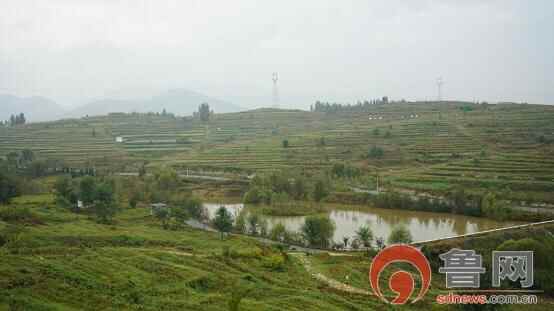 泰汶环保世纪行丨新泰市土地治理项目田园综合体建设助力乡村振兴