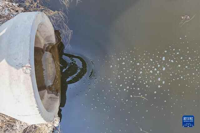 宁阳县境内海子河：“黑水河”是如何形成的