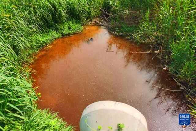 宁阳县境内海子河：“黑水河”是如何形成的