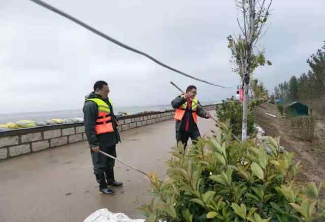 东平县文旅局：“双线”作战勇担当