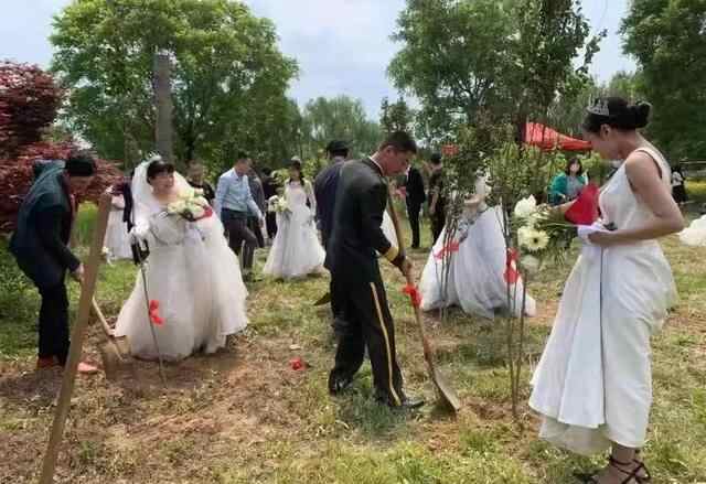 泰山区全面深化婚介机构改革
