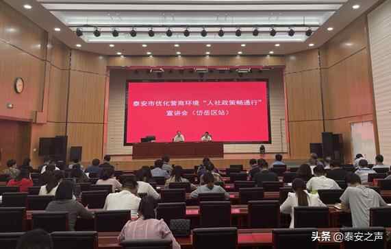 岱岳区人社局“三攻坚” 助力优化营商环境