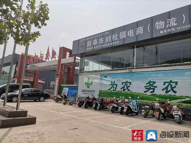 全链条发展 新泰夯实乡村振兴根基