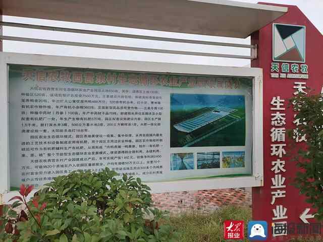 全链条发展 新泰夯实乡村振兴根基